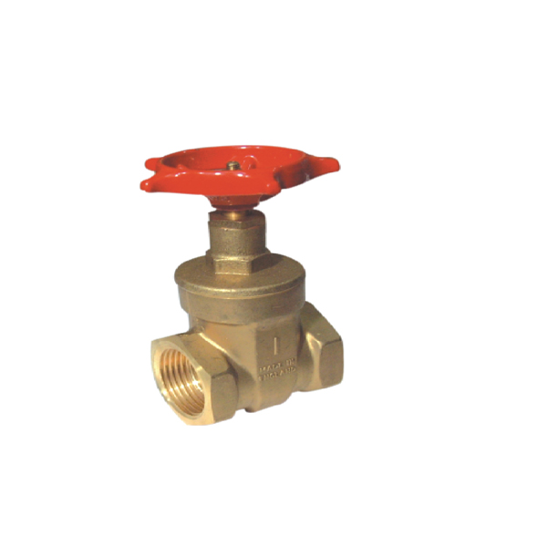 Gate Valve in Sri Lanka