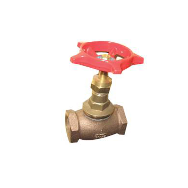 Globe Valve in Sri Lanka