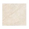 Dyna Beige (Ceramic Tile)