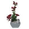 KALANCHOE - TENORIO