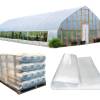 UV Polythene Transparent Sheet